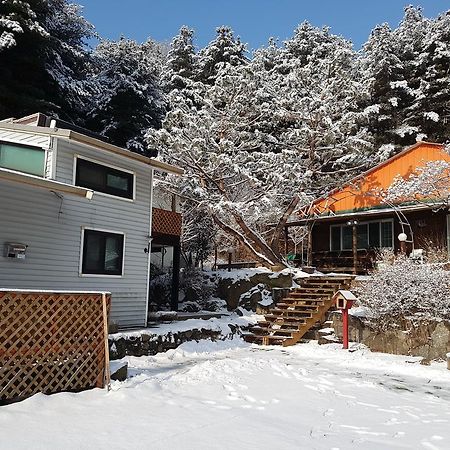 Bluesky Pension Pocheon Dış mekan fotoğraf