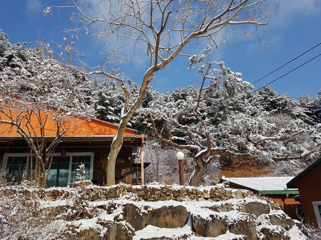 Bluesky Pension Pocheon Dış mekan fotoğraf