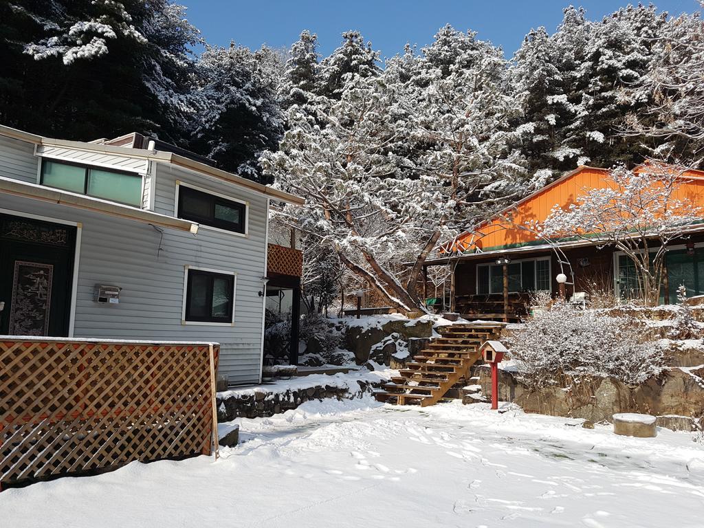 Bluesky Pension Pocheon Dış mekan fotoğraf