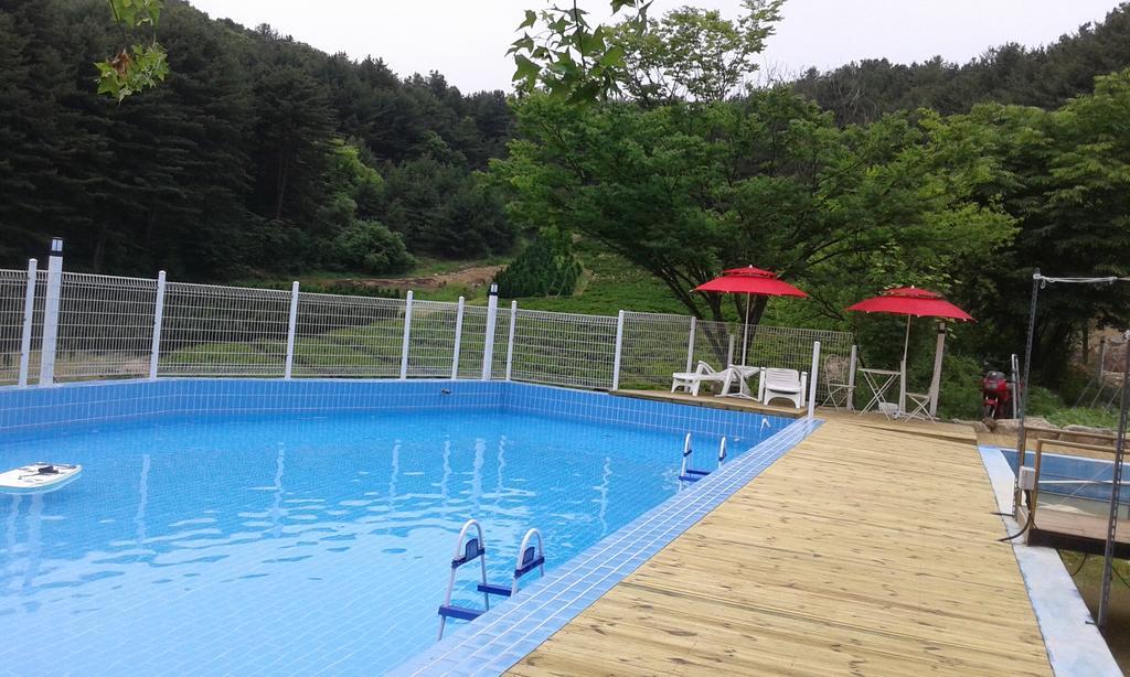 Bluesky Pension Pocheon Dış mekan fotoğraf