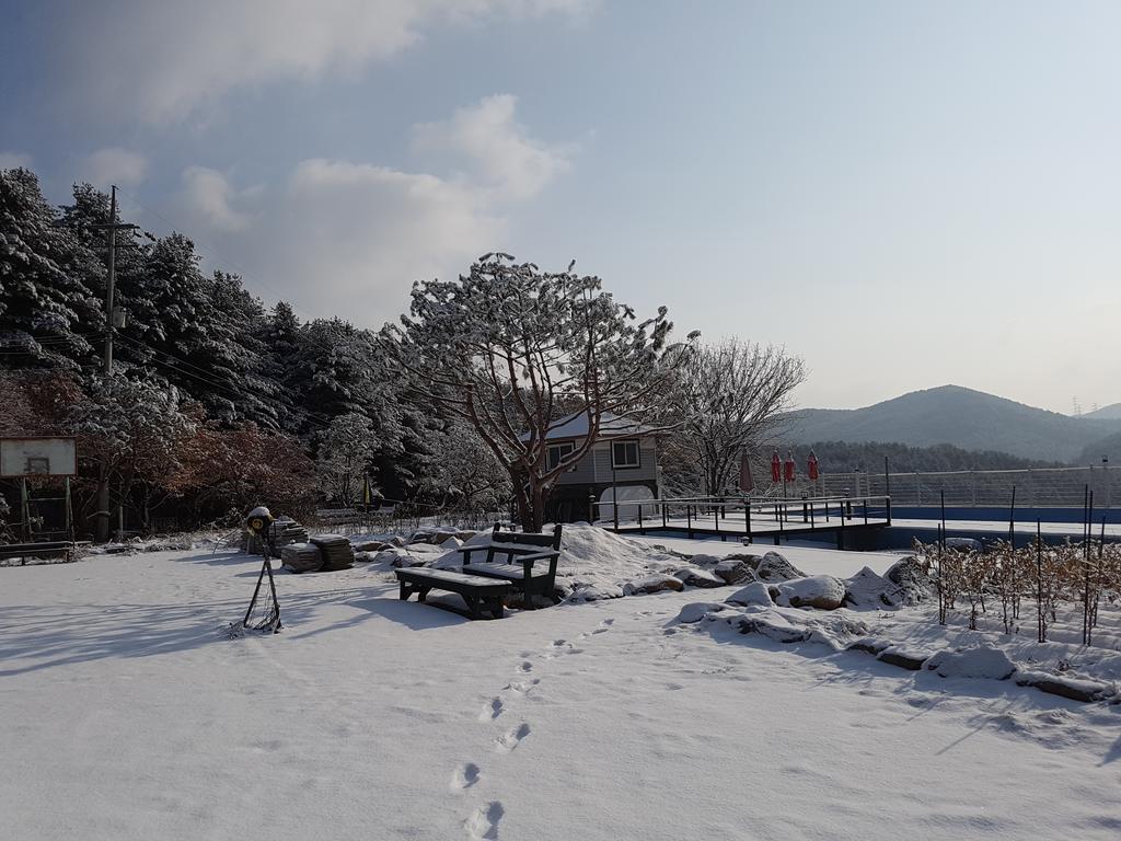 Bluesky Pension Pocheon Dış mekan fotoğraf