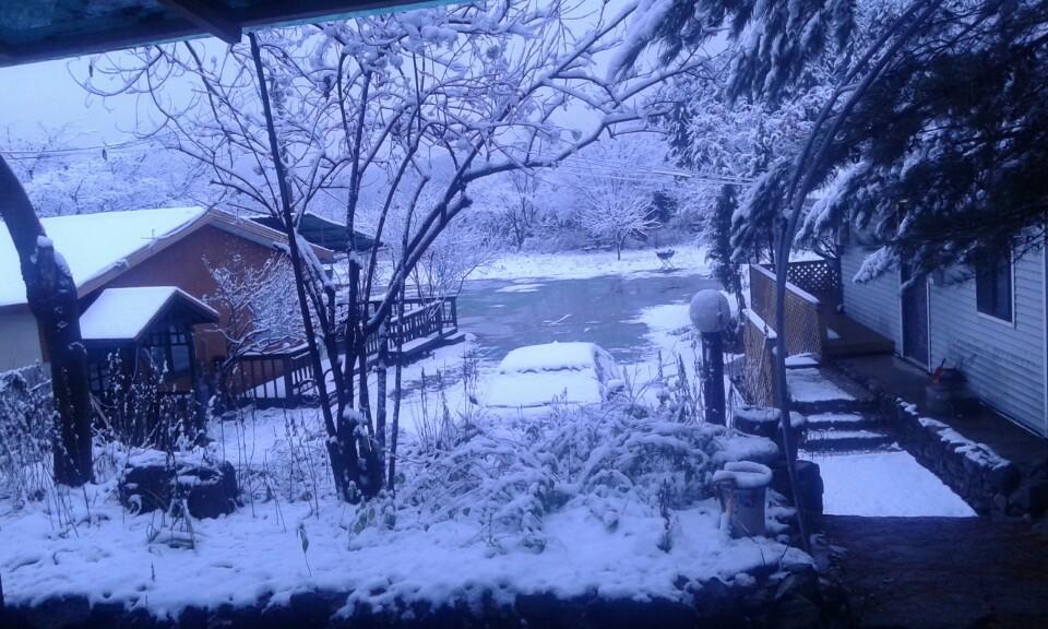 Bluesky Pension Pocheon Dış mekan fotoğraf