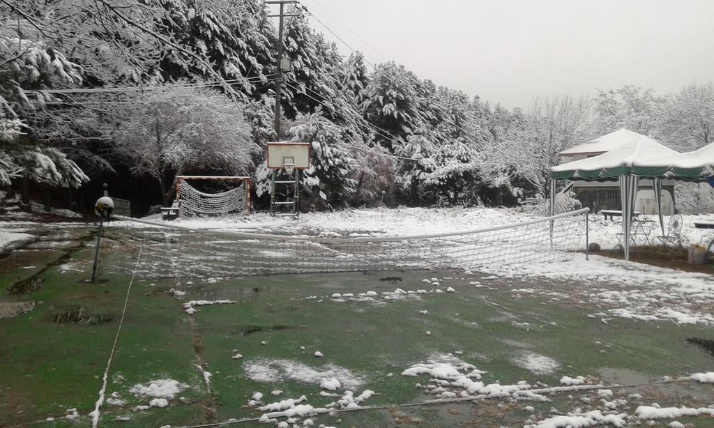 Bluesky Pension Pocheon Dış mekan fotoğraf