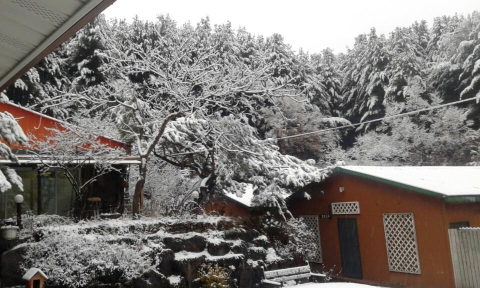 Bluesky Pension Pocheon Dış mekan fotoğraf